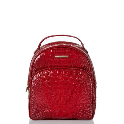 Pink Brahmin Chelcy Women's Travel Bags | 3089541-JL