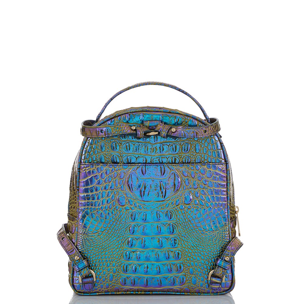 Blue Brahmin Chelcy Women's Travel Bags | 7352096-DS