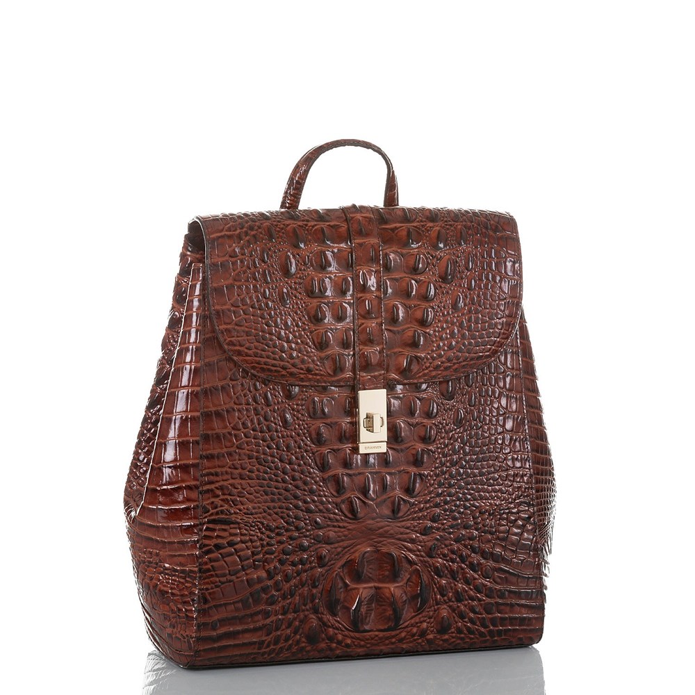 Brown Brahmin Sadie Women's Travel Bags | 0824597-LF